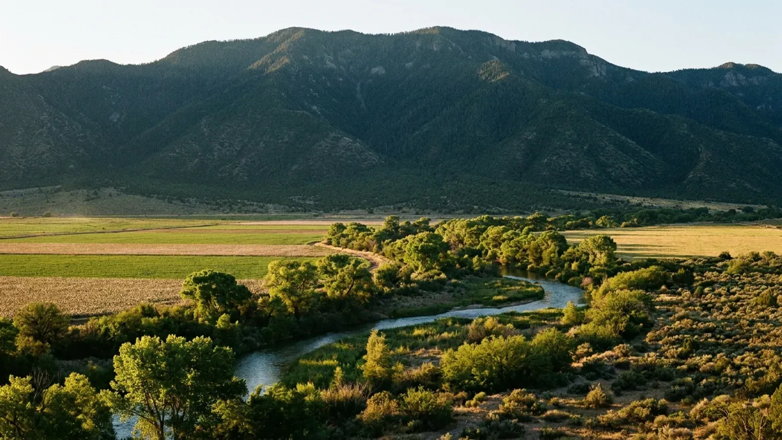 Irrigated Gila Valley fields near Safford with a cottonwood-lined river and the forested bulk of Mount Graham rising behind.